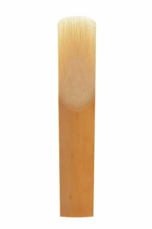 Disponible dès maintenant - Gonzalez RC Bb Clarinet 2.5