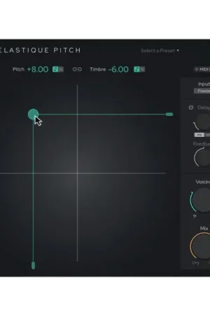 Recommandé - zplane Elastique Pitch