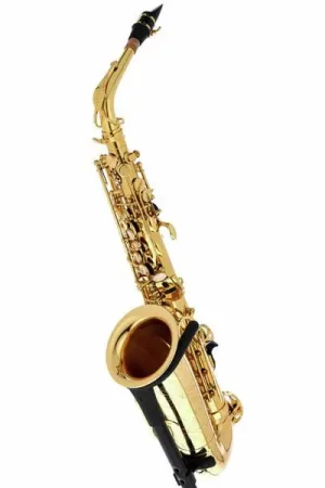 Selmer Axos Alto Sax - Super offre