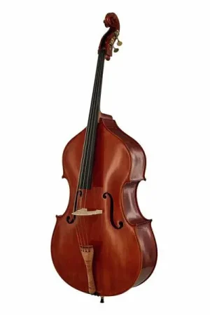 Fin de série - Scala Vilagio Double Bass Bucur IB