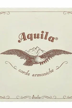 Aquila 175D Wound Nylgut Lute String | Très bien noté