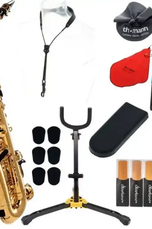 Yamaha YAS-480 Alto Sax Set | Incontournable