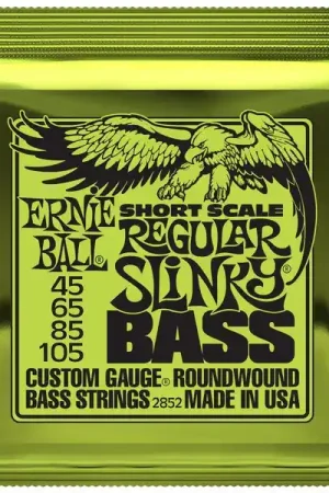 Ernie Ball 2852 Regular Slinky Short | Premium