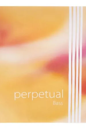Pirastro Perpetual Double Bass D Strong | Commandez maintenant