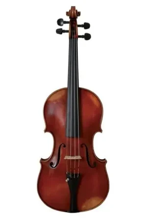 Nouveau au catalogue - Gewa Germania 11L Rom Violin 4/4
