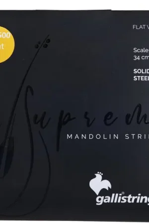 Galli Strings SMF500 L Mandolin Str. Light | Prix spécial