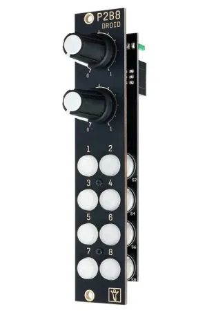 Der Mann mit der Maschine P2B8 Controller - Paiement sécurisé