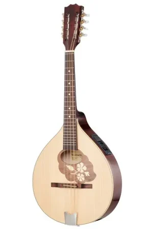 En stock - Thomann Europe Mandola M1088-P/LH