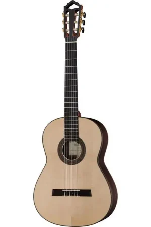 Höfner HM89-0 Master Classic Guitar - Promotion