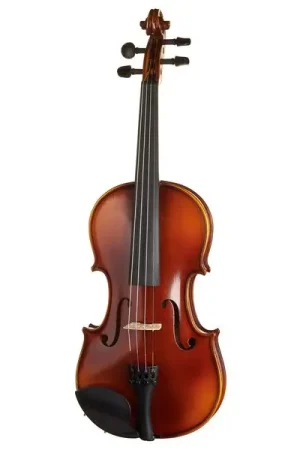 Gewa Allegro Violin 4/4 | Profitez-en