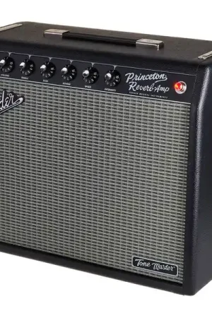 Fender Tone Master Princeton Reverb | Nouveau chez nous