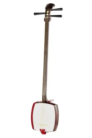 Petit prix - Zenon ZSM-10 Student Shamisen Set