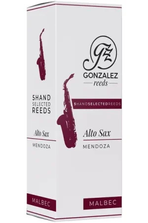 Bien noté - Gonzalez MALBEC Alto Saxophone 3.0
