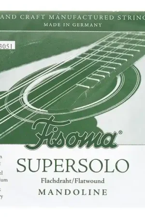 Excellente qualité | Fisoma F3051M Mandolin E-Str. 1 Pair