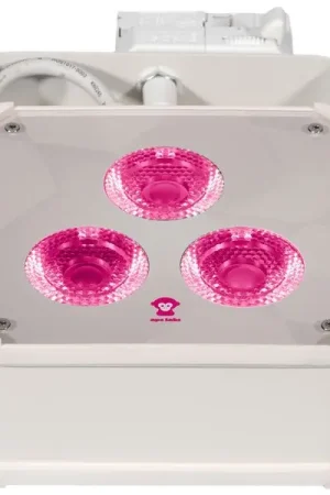 Ape Labs Track Maxi V2 15° RGBNW Creme | Expédition rapide