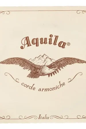 Aquila 104D Wound Nylgut Lute String - Excellente qualité