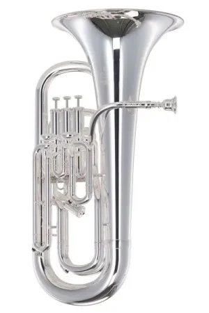 Meilleure vente | Besson BE767-2 Bb-Euphonium