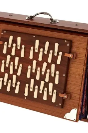 Plébiscité par les clients - Thomann Nataraj 3 Octaves Shruti 432Hz