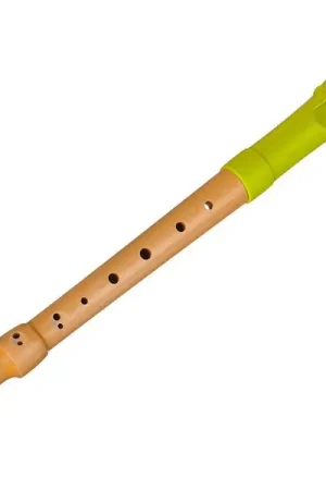 Mollenhauer 17211 Fipple Lere Soprano G DH | Affaire à saisir