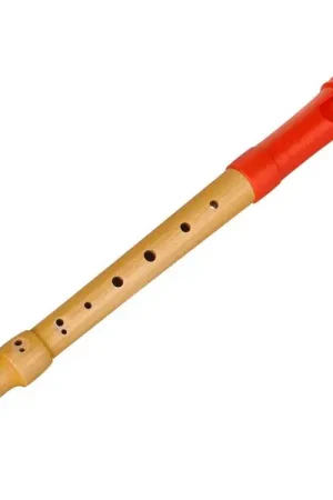 Nouveau en boutique - Mollenhauer 17214 Fipple Digi Soprano G DH