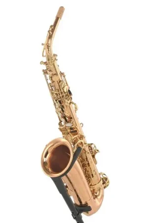 Forestone RX Red Brass GL Alto Sax | Prix choc