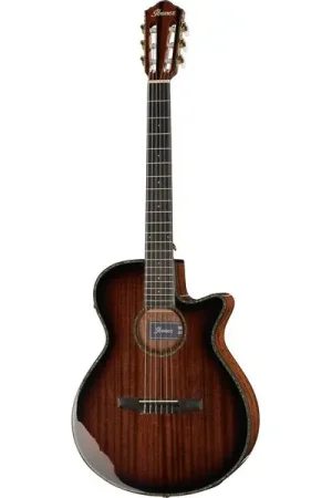 Très populaire | Ibanez AEG74N-MHS