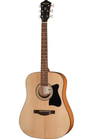 Ibanez V40-OPN | Coup de cœur des clients