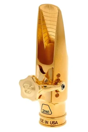 Commandez maintenant | Theo Wanne Gaia IV Alto 6 Gold