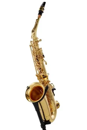 Tout juste arrivé | Buffet Crampon Prodige Alto Sax