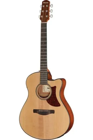 Ibanez AAM50CE-OPN - Disponible dès maintenant
