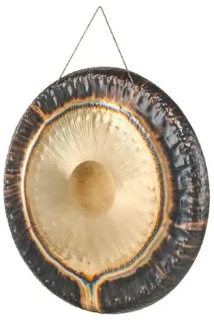 Plébiscité par les clients | Thomann 36"/91cm Planet Gong Earth