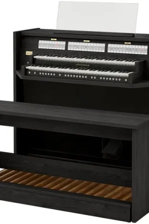 Prix cassé - Johannus Studio 260, Charcoal Concave