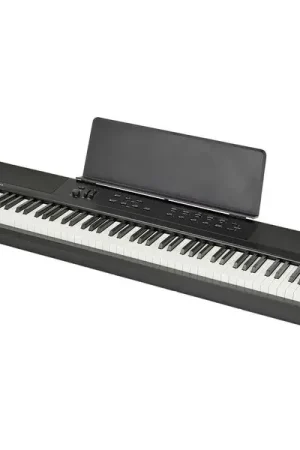 Dernier arrivage - Kurzweil KaE1-LB