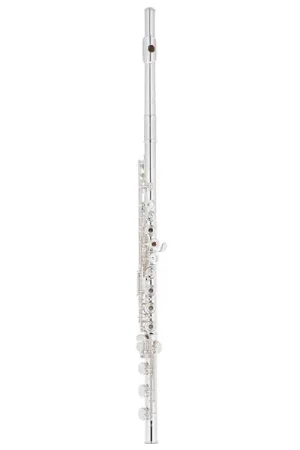Tout juste arrivé | Altus AS-A9 RBEO-S Flute
