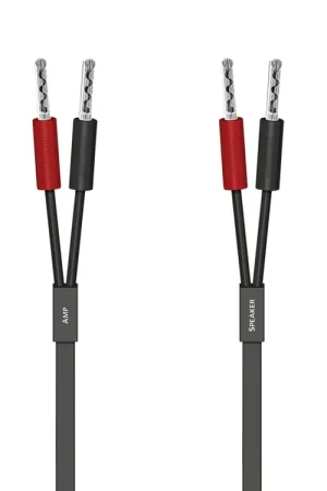 AUDIOQUEST Q2 monté Bananes (2x3m) - Profitez-en maintenant