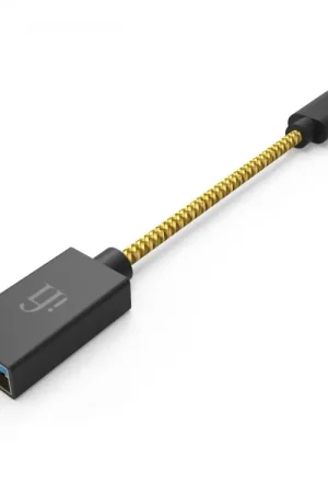 Cette semaine uniquement | iFi Audio OTG - USB-C