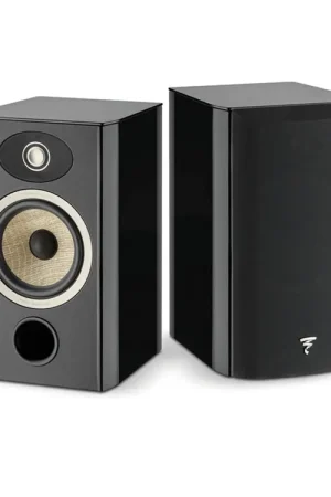 Produit tendance | FOCAL ARIA EVO X N°1 (la paire)
