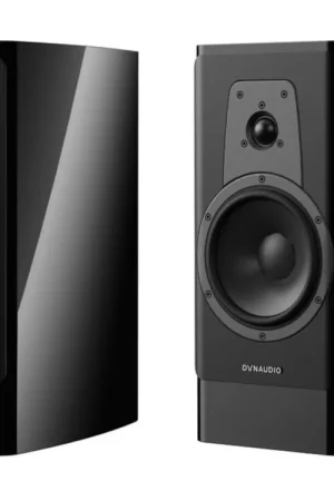 Remise | DYNAUDIO CONTOUR 20i (la paire)