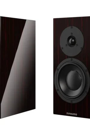 Petit prix - DYNAUDIO SPECIAL FORTY (la paire)