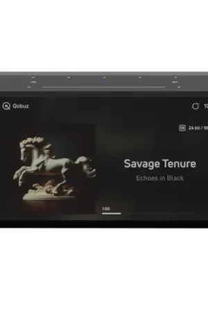 Livraison express | BLUESOUND Node Icon