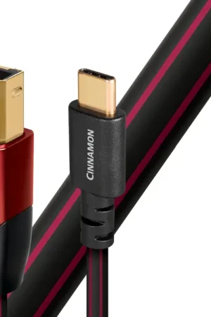 Haute qualité | AUDIOQUEST Cinnamon USB B-C