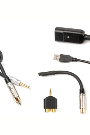 Livraison express - iFi Audio Groundhog+