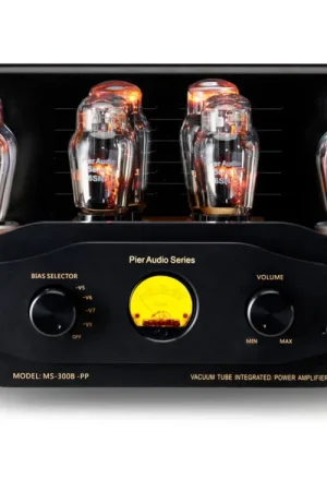 Bon plan | PIER AUDIO MS-300 PP