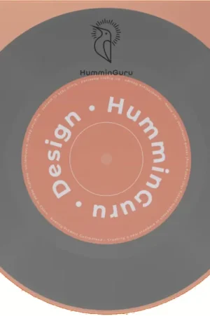 Offre | HUMMINGURU Pochettes intérieures x 50 (POUR DISQUES 7")