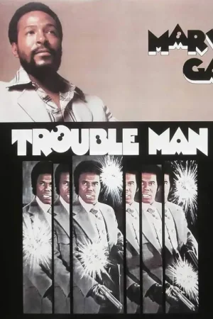 Recommandé - MARVIN GAYE - TROUBLE MAN
