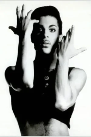 Excellente qualité | PRINCE - PARADE