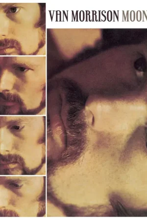 Bon prix - VAN MORRISON - MOONDANCE