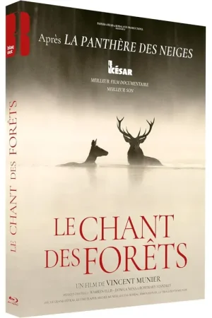Dernières pièces | LE CHANT DES FORÊTS - COMBO BR + DVD