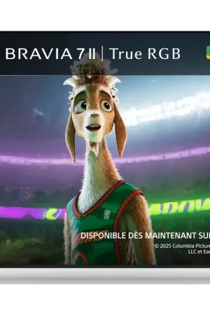 Excellente qualité - SONY 55 BRAVIA 7 II (K55XR75M2PB)