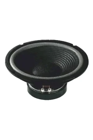MONACOR SP-252E Haut-Parleur Bas Médium 75W 4 Ohm 94dB Ø25cm - Tendance